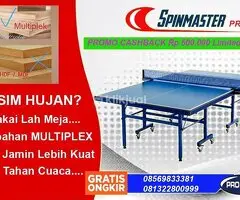 Tenis meja pingpong merk SPINMASTER PRO 25