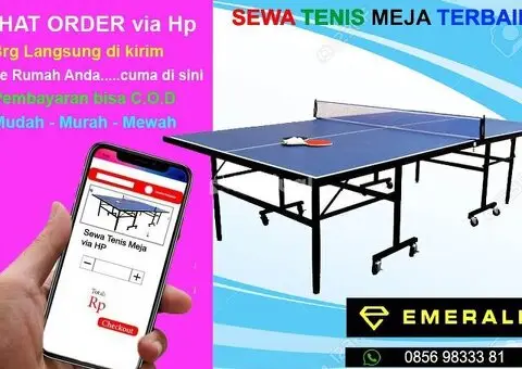 Rental sewa tenis meja pingpong - 3/3