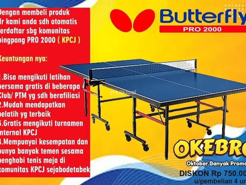 Tenis meja pingpong merk BUTTERFLY - 1/4