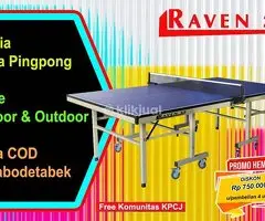 Tenis meja pingpong merk RAVEN 25