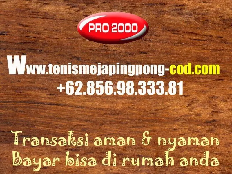 Tenis meja pingpong merk RAVEN 25 - 4/4