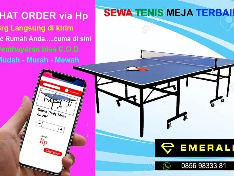 Rental sewa tenis meja pingpong - 3/5