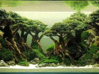 Garden Indoor Landscape Aquascape Home Nature Interior Bandung Jabotabek