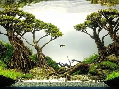 Garden Indoor Landscape Aquascape Home Nature Interior Bandung Jabotabek