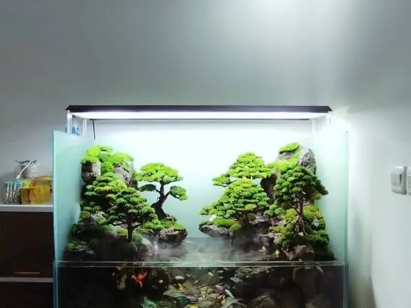 Garden Indoor Landscape Aquascape Home Nature Interior Bandung Jabotabek - 3/5