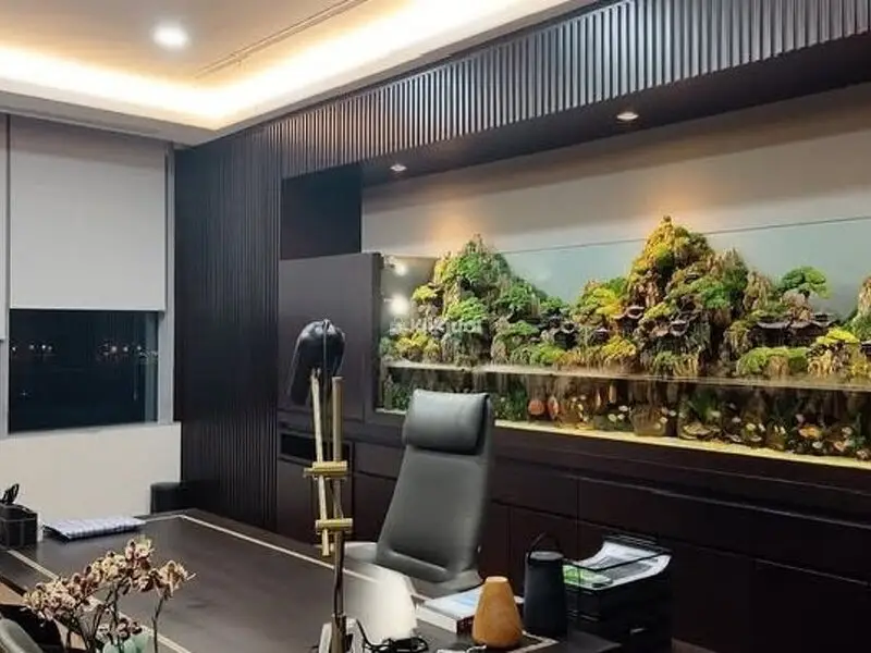 Garden Indoor Landscape Aquascape Home Nature Interior Bandung Jabotabek - 4/5